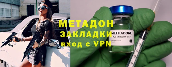 шишки Верея
