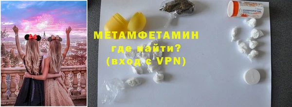 шишки Верея