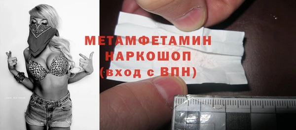 шишки Верея