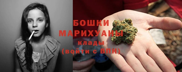 шишки Верея
