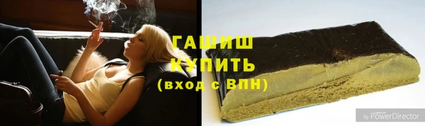 шишки Верея