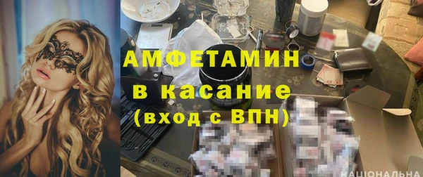 шишки Верея