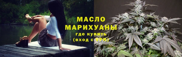 шишки Верея