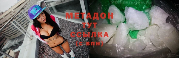 шишки Верея