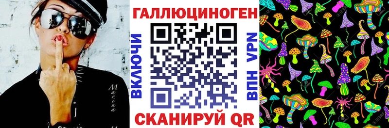 Купить  Венёв  Галлюциногенные грибы MAGIC MUSHROOMS 